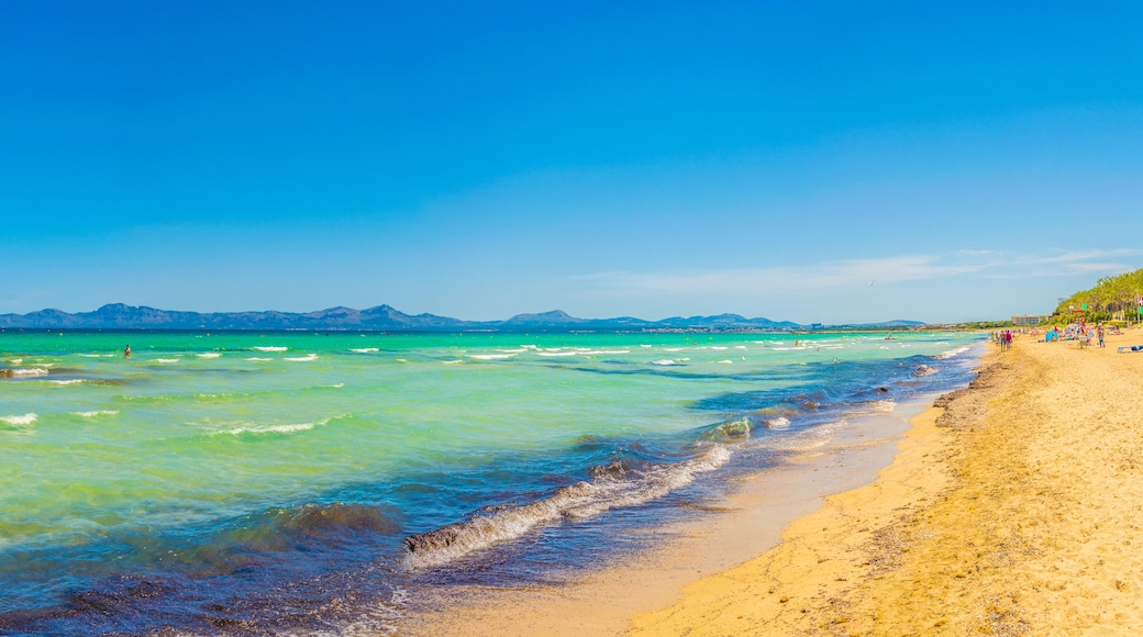 Puerto de Alcudia