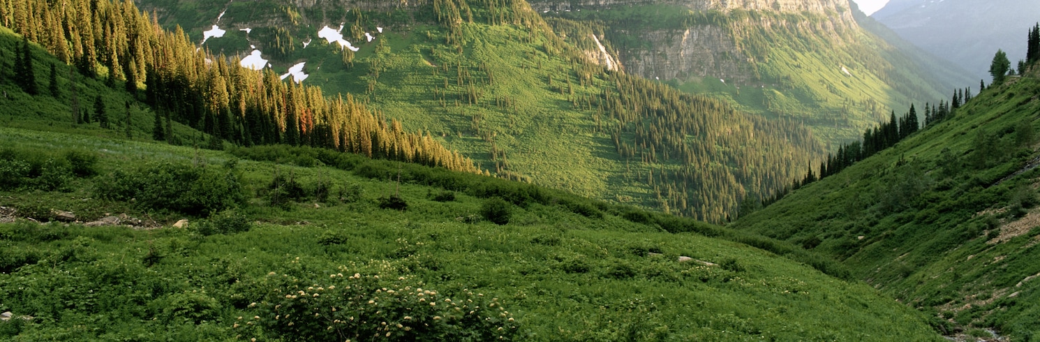 Gletser Barat, Montana, Amerika Serikat