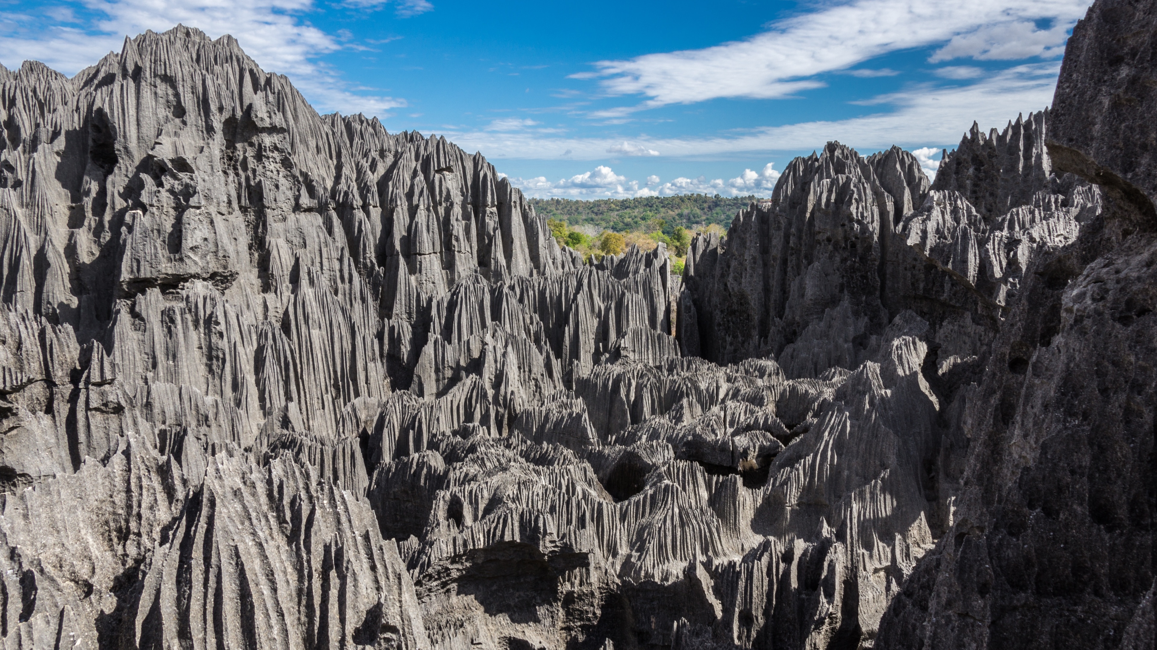 Visita Madagascar: El mejor viaje a Madagascar, África, 2023| con