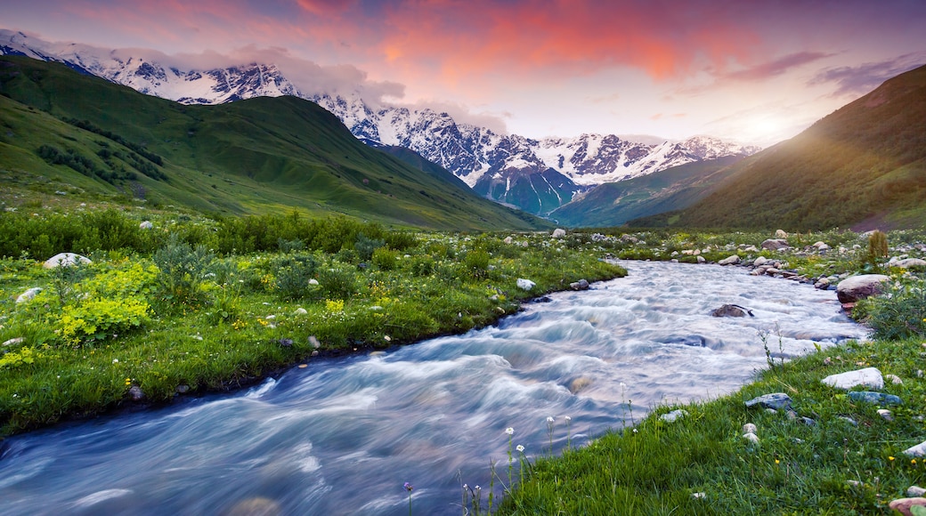 Samegrelo-Zemo Svaneti