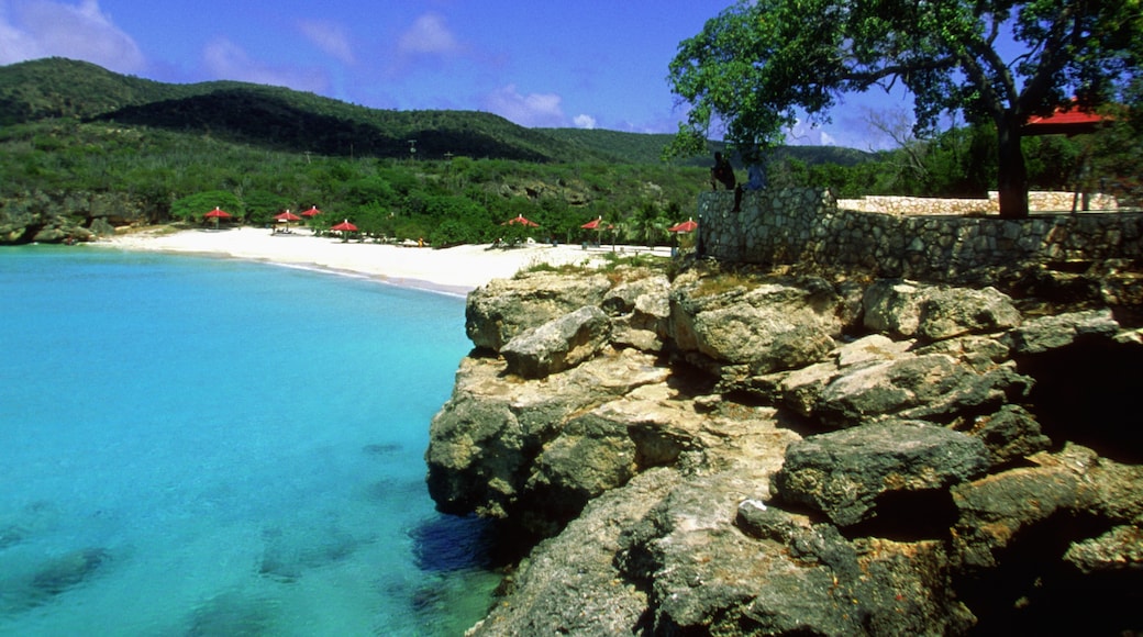 Strand Grote Knip