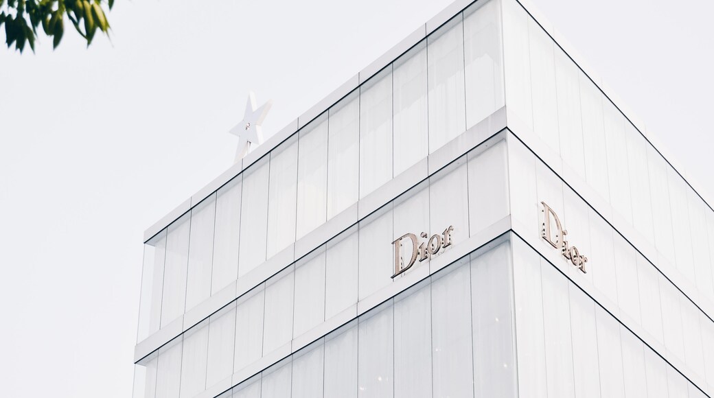 Dior Building, Tokyo, Tokyo Prefecture, Japan