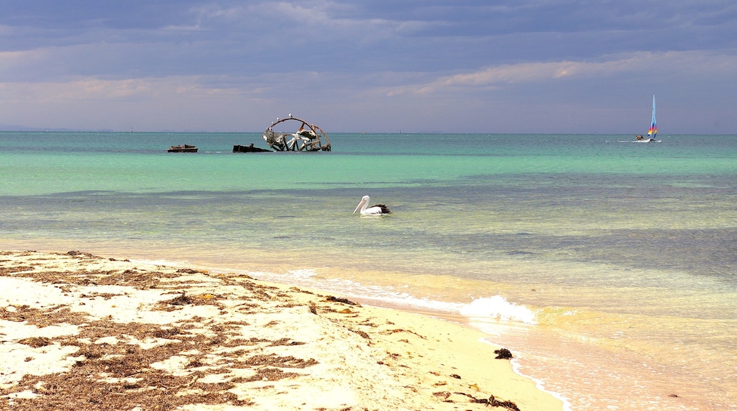 Indented Head