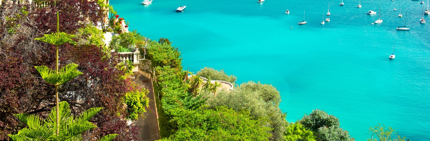 Mimosa Road, France