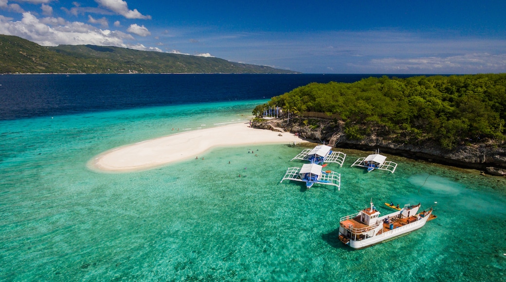 Sumilon Island, Oslob, Centrale Visayas, Filippinerne