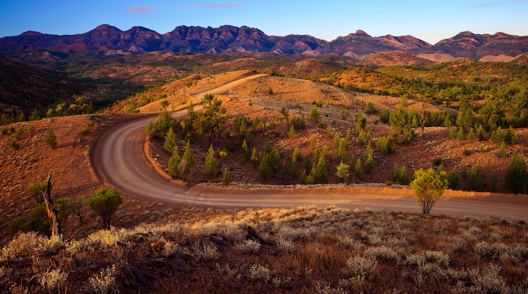 Ikara-Flinders Ranges National Park