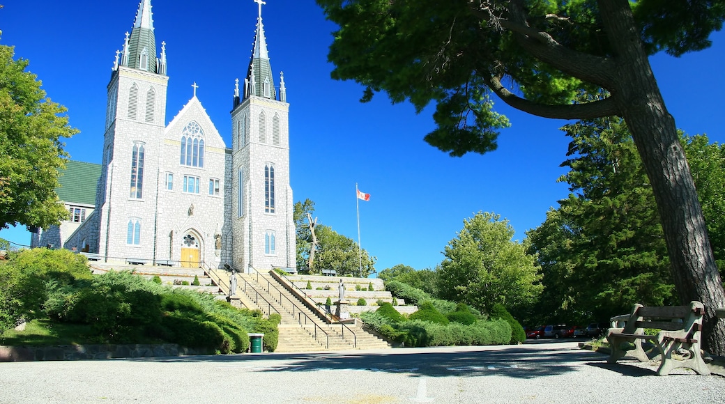 Notre-Dame Cathedral Basilica, Ottawa, Ontario, Canada
