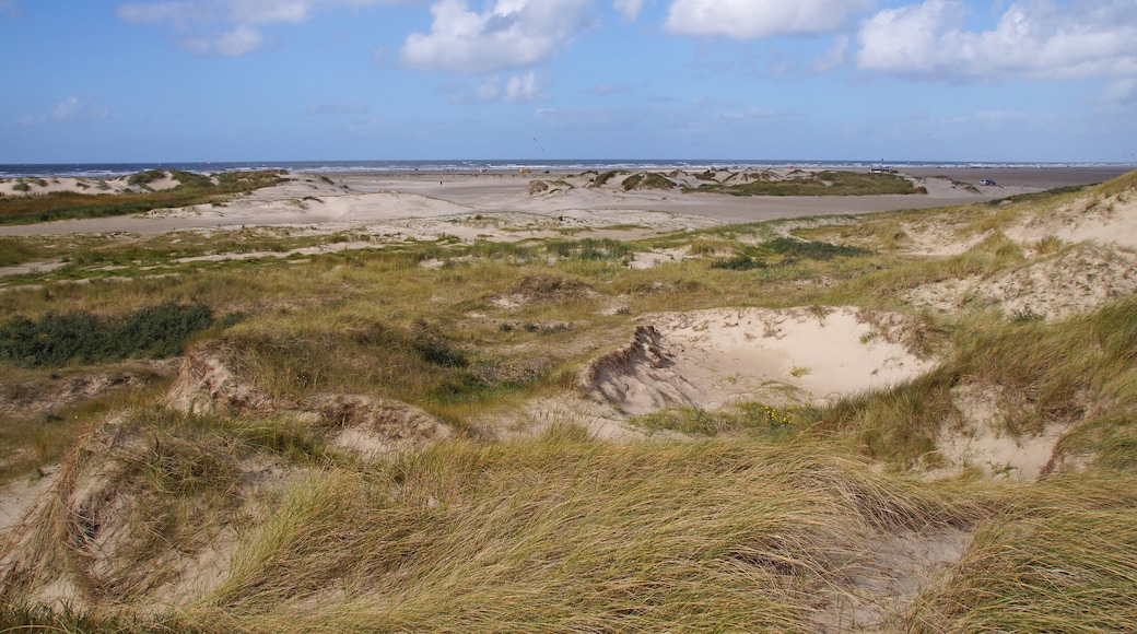 Parque Nacional del mar de Frisia