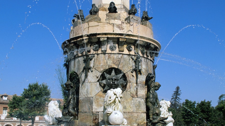 Parque Bushy