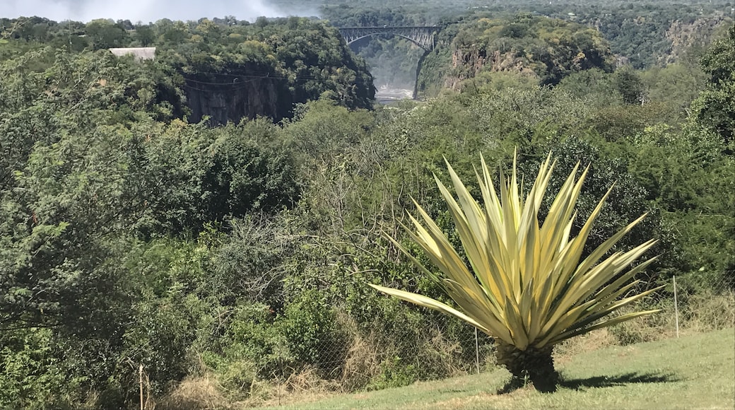 Provincia de Manicalandia