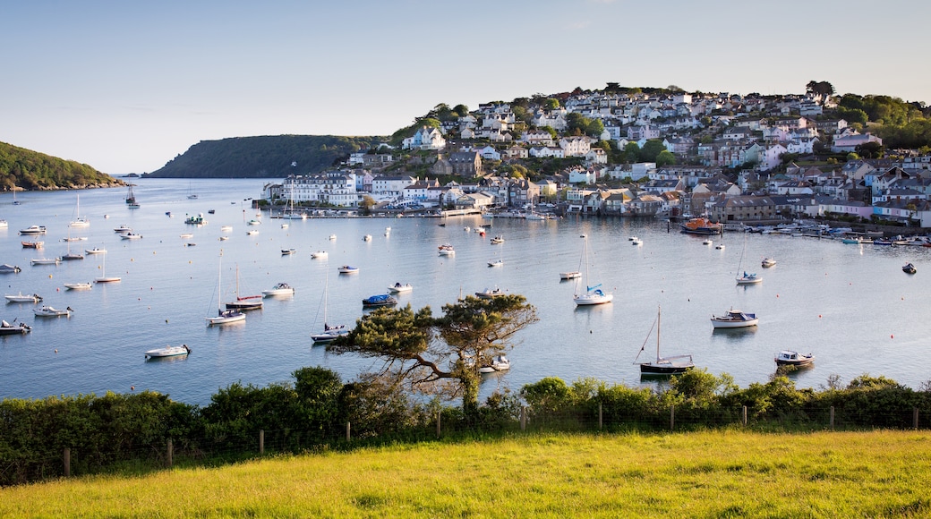 Salcombe