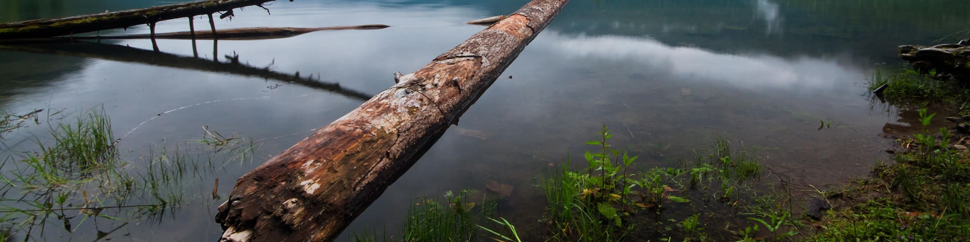 帕克伍德, 华盛顿, 美国