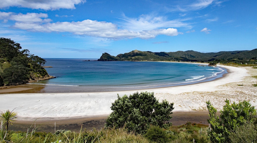 Great Barrier Island