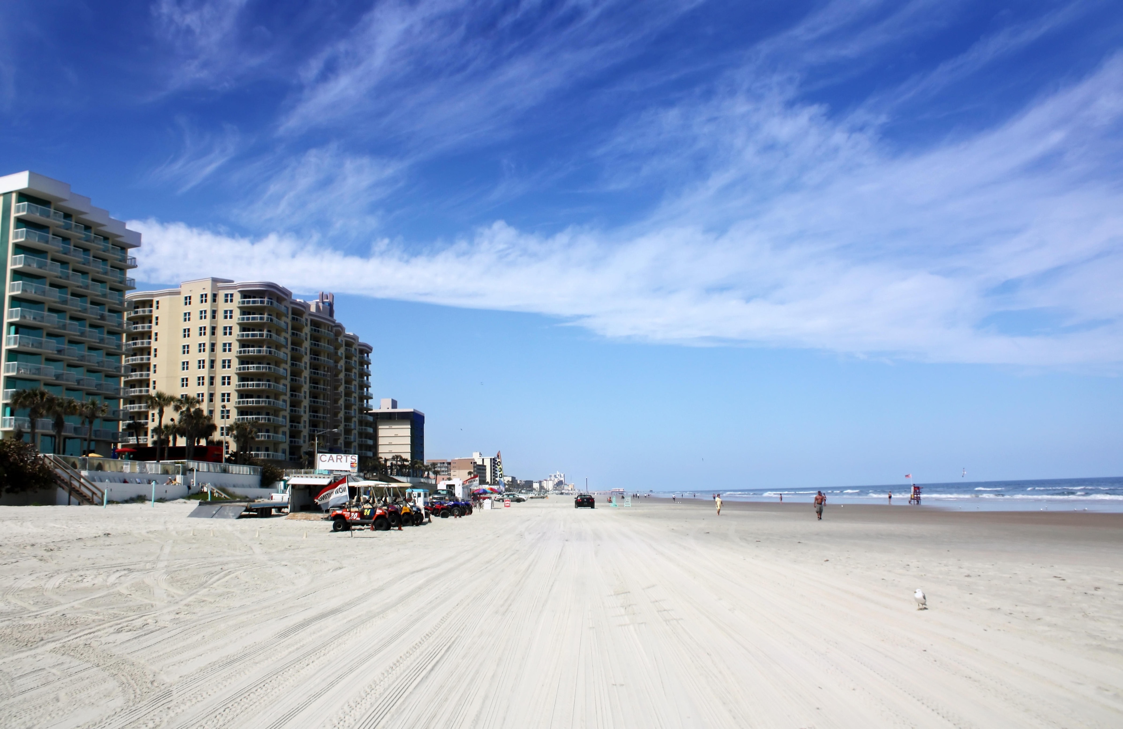 can dogs be on daytona beach