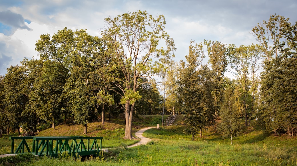 Panevėžysin lääni