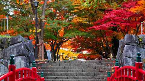 盛岡 盛岡駅周辺のホテル 宿泊予約 格安ホテル予約 最安値検索 盛岡駅のおすすめ宿泊情報 ホテルズドットコム