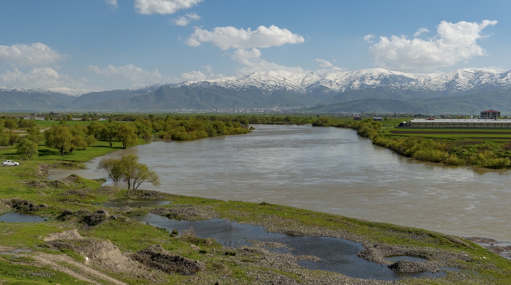 Muşin maakunta