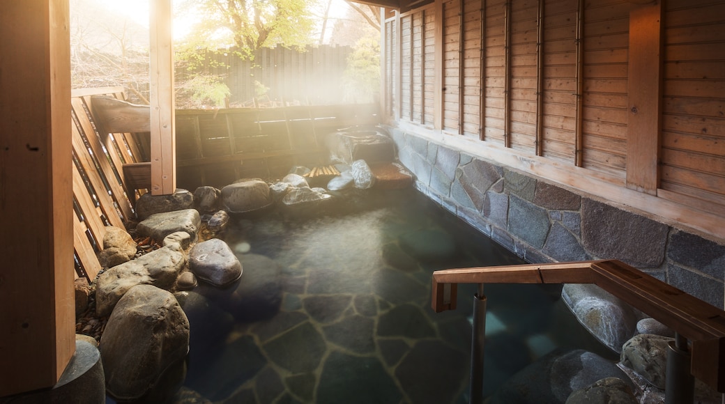 Kosugenoyu Thermal Baths