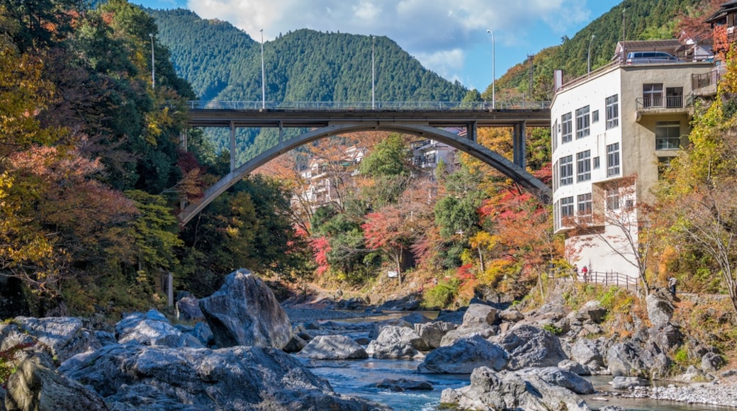 Mitake Gorge