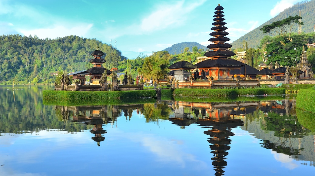水神廟, 巴土利地, 峇里, 印尼
