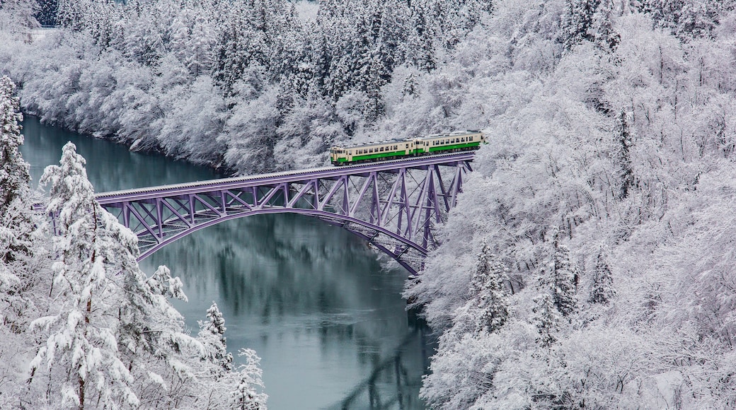 Tadami