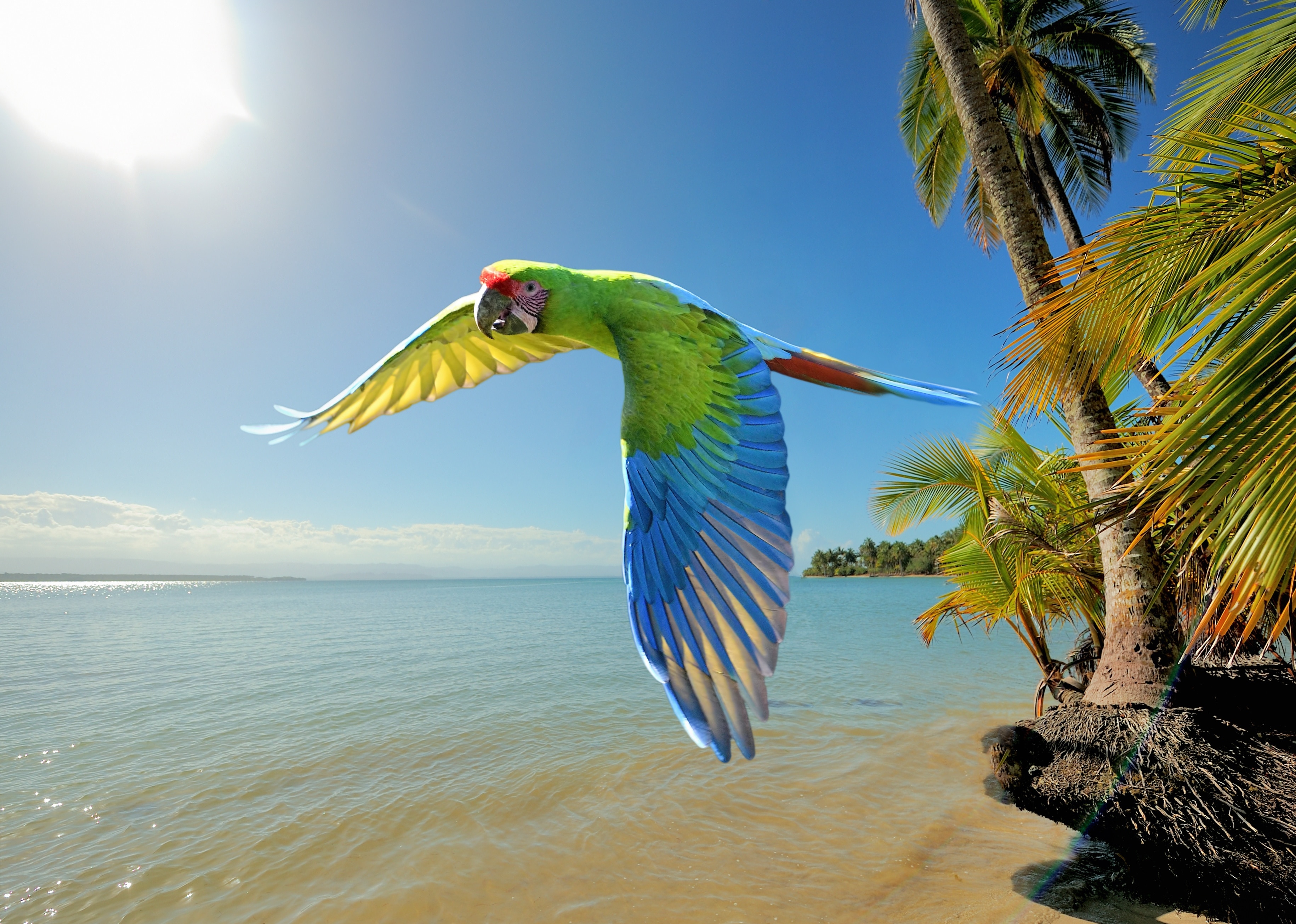 <h2>Best places to stay offering breakfast</h2>