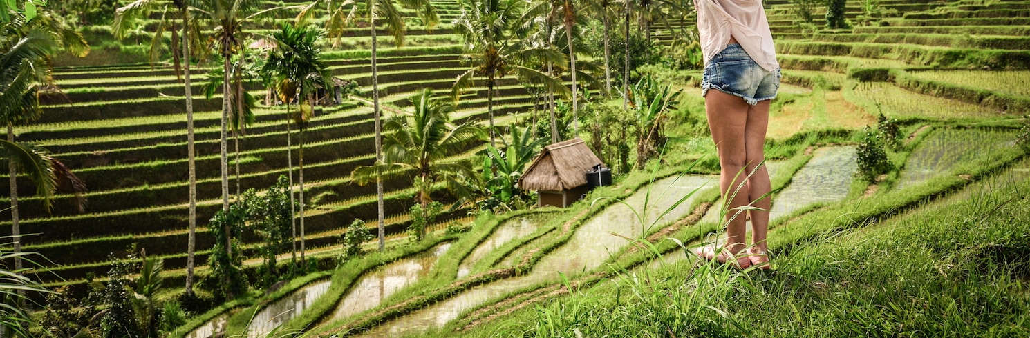 Tegallalang, Indonésie