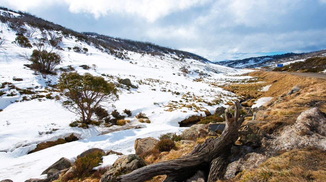Snowy Valleys Council