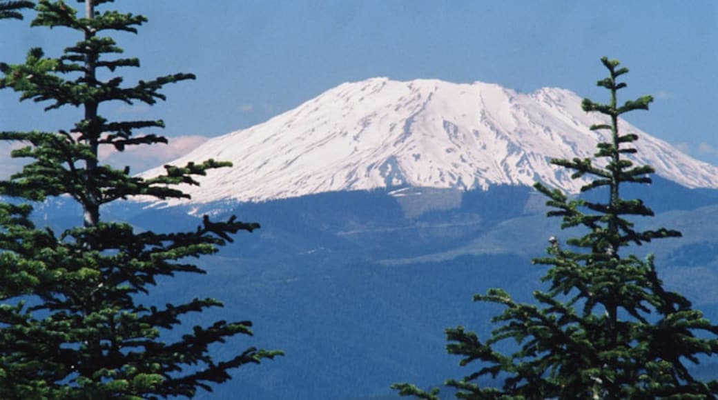 Gunung St. Helens Forest Learning Center