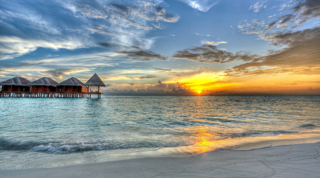 Παραλία Dhigufinolhu, Dhigufinolhu, Ατόλη Kaafu, Μαλδίβες