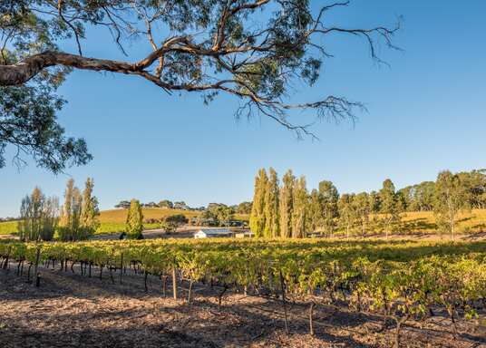 Adelaide, Jižní Austrálie, Austrálie