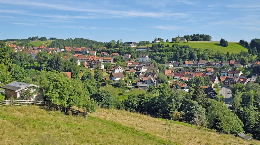 Braunlage, Niedersachsen, Tyskland