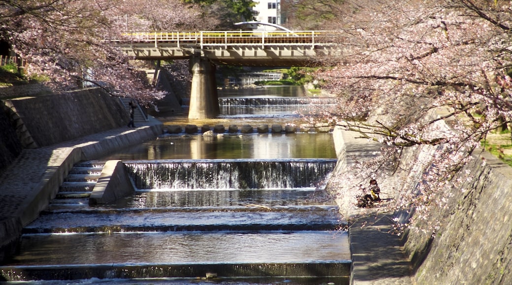 夙川公園