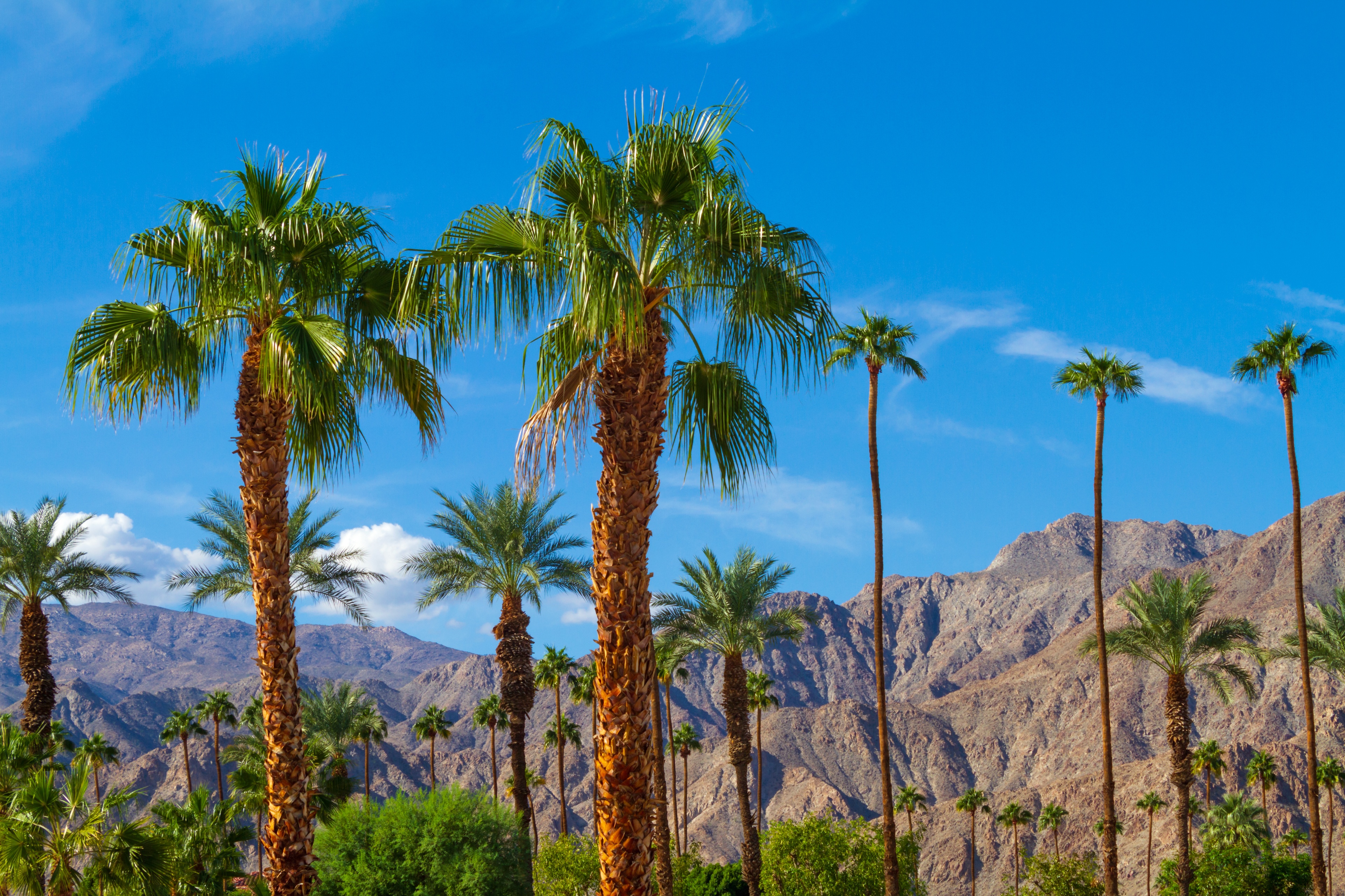 La Quinta Travel Guide: Best of La Quinta, California Travel 2024 