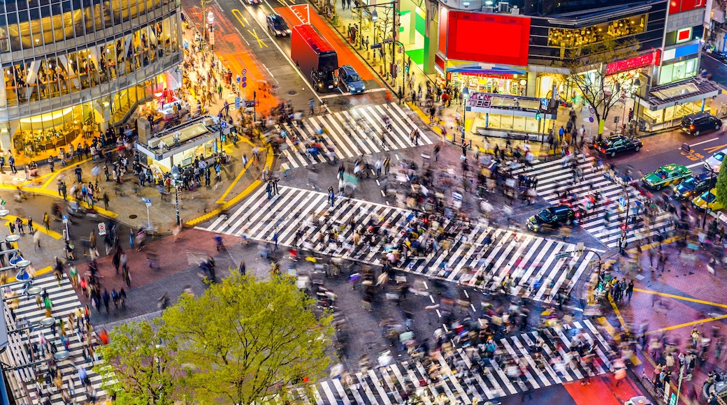 Shibuya Crossing, Tokyo, Tokyo Prefecture, Japan