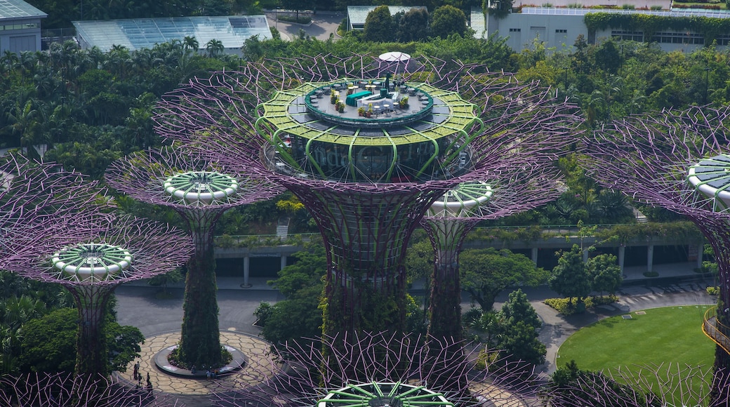 Gardens By The Bay East, Singapore, Singapore