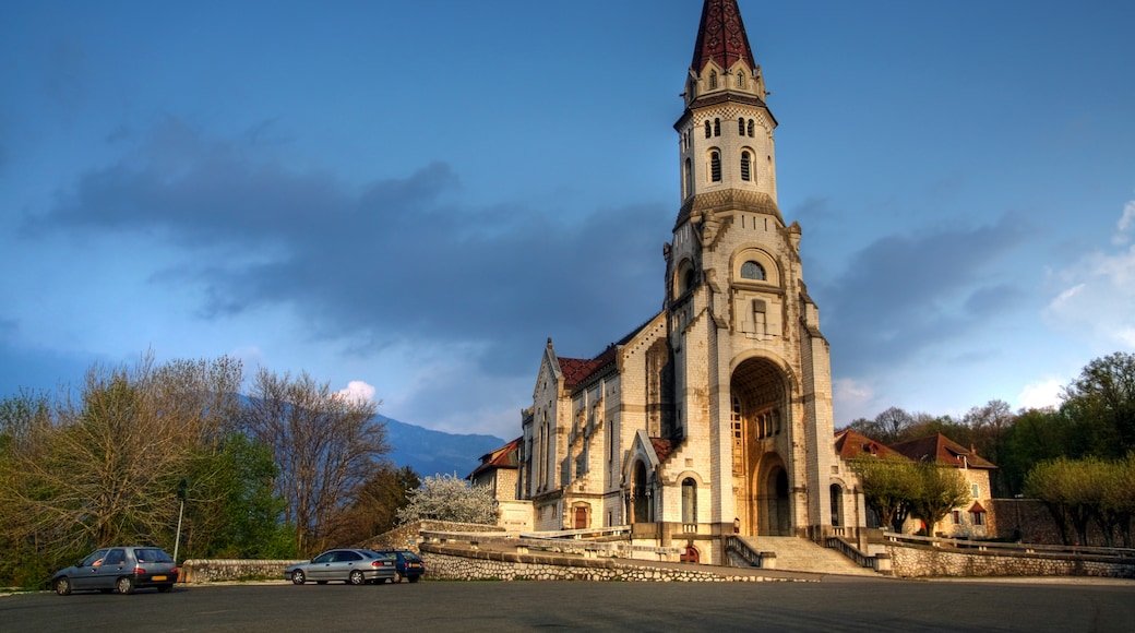 Basilique de la Visitation, Annecy, Haute-Savoie, France