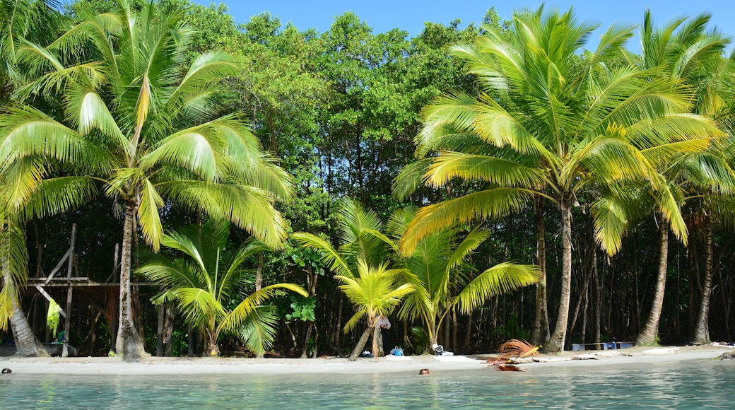 Bocas del Toro Province