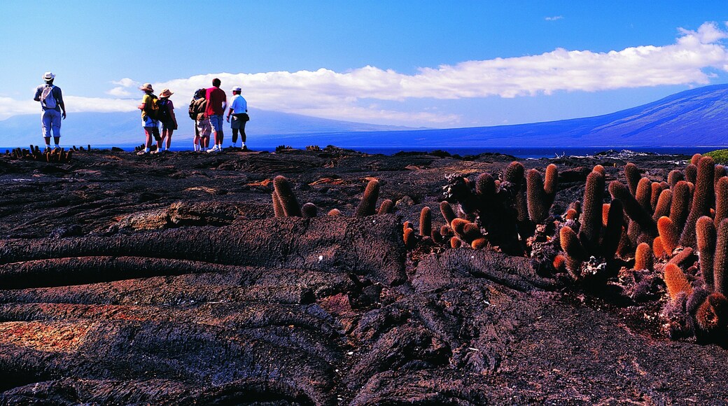 Taman Nasional Galápagos