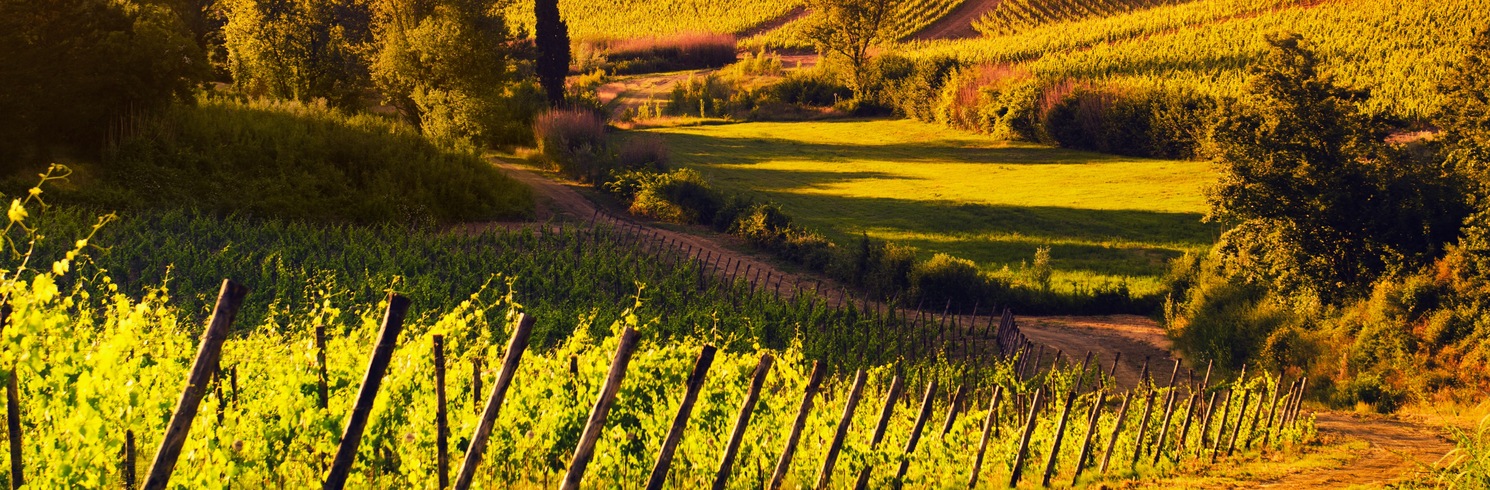 Greve in Chianti, Taliansko