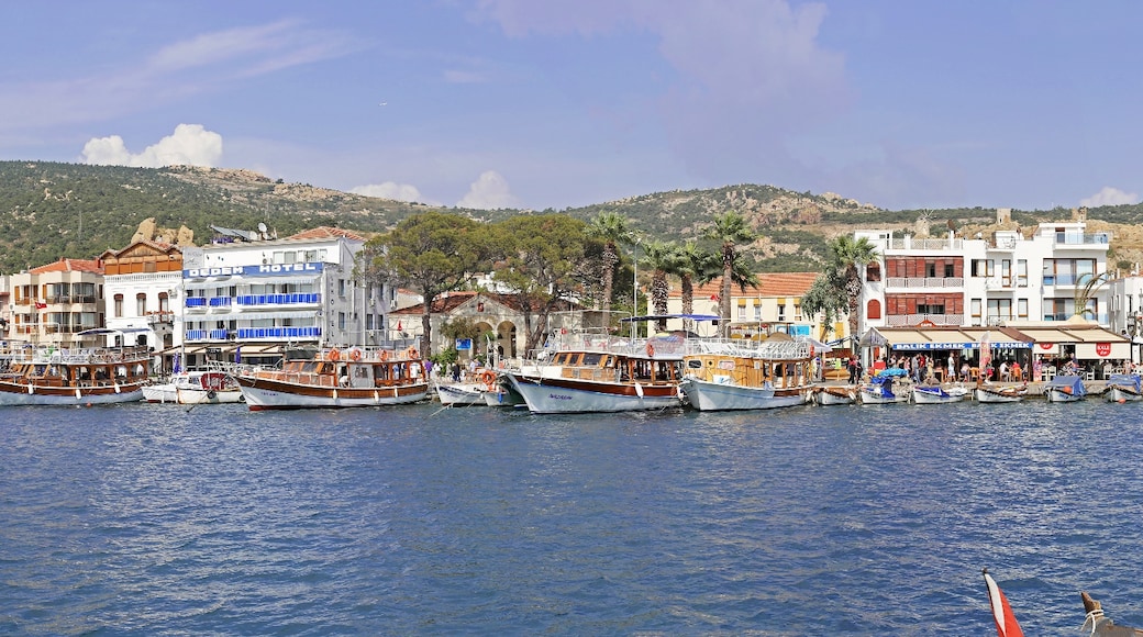 Foça