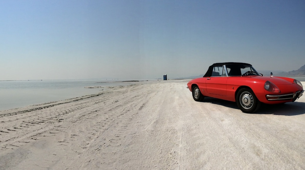 Parque estatal Bonneville Salt Flats