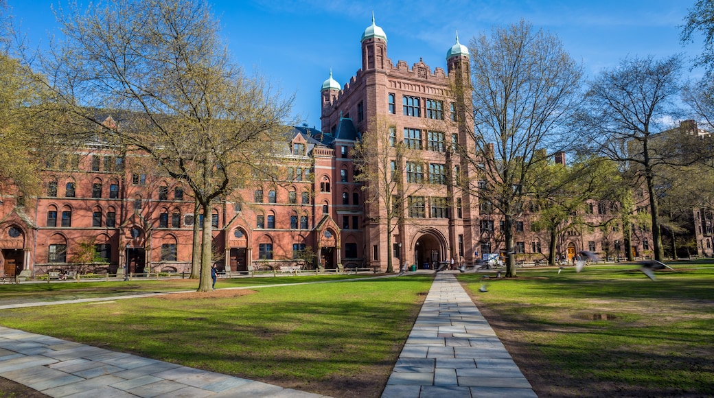 Yale Egyetem, New Haven, Connecticut, Egyesült Államok