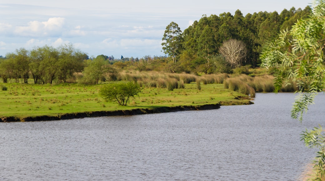 Federacion