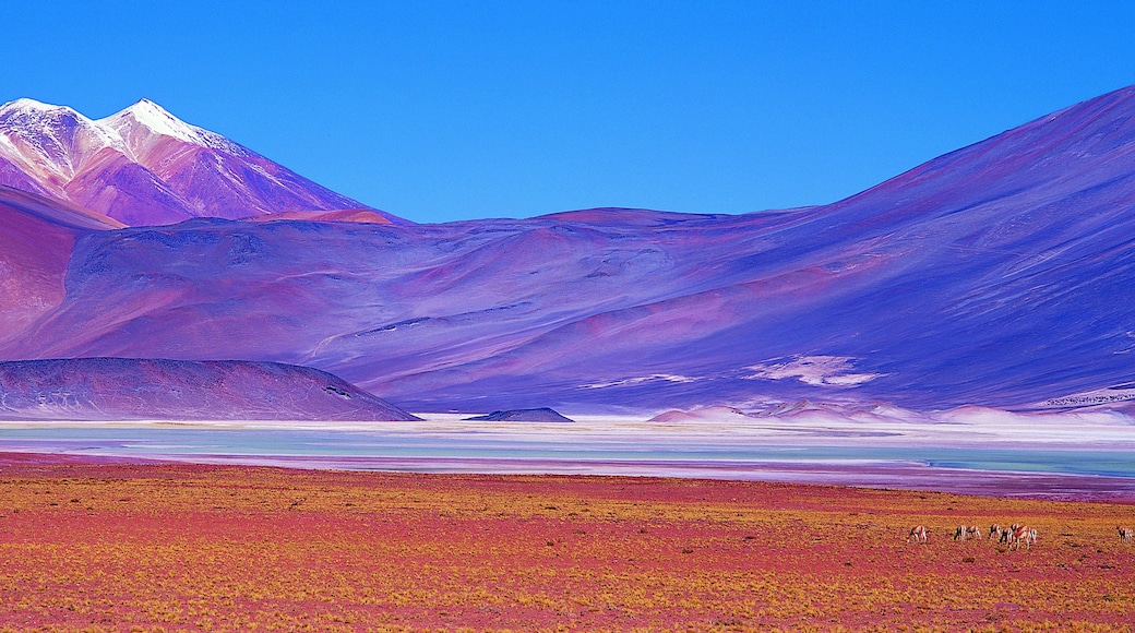Elqui Province, Coquimbo Region, Chile