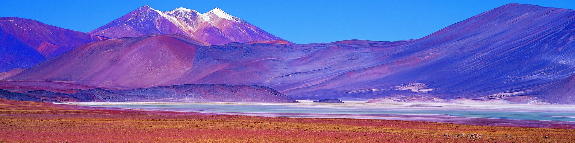 Región de Coquimbo, Chile