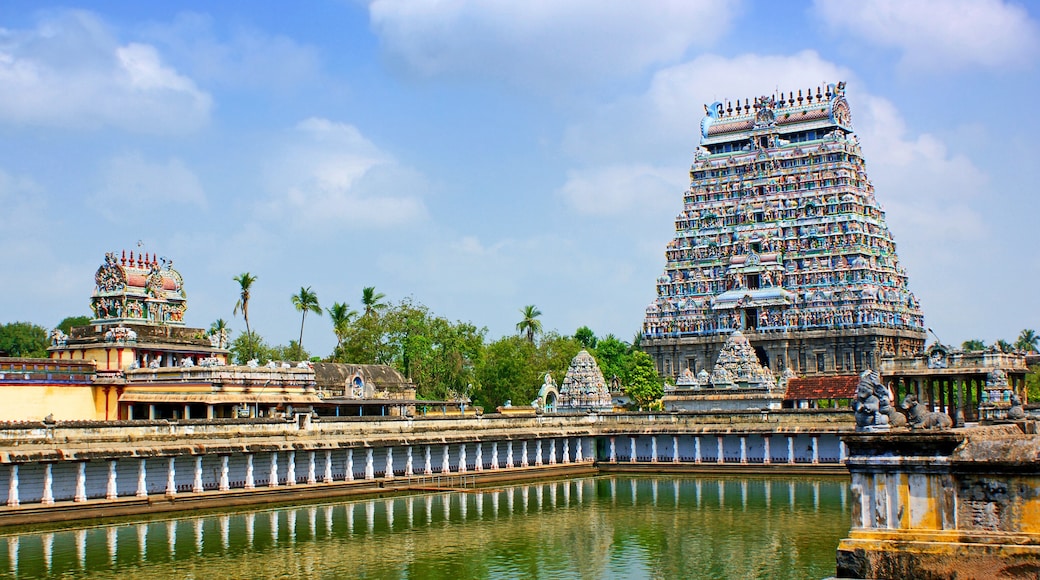 Tamil Nadu, Hindistan