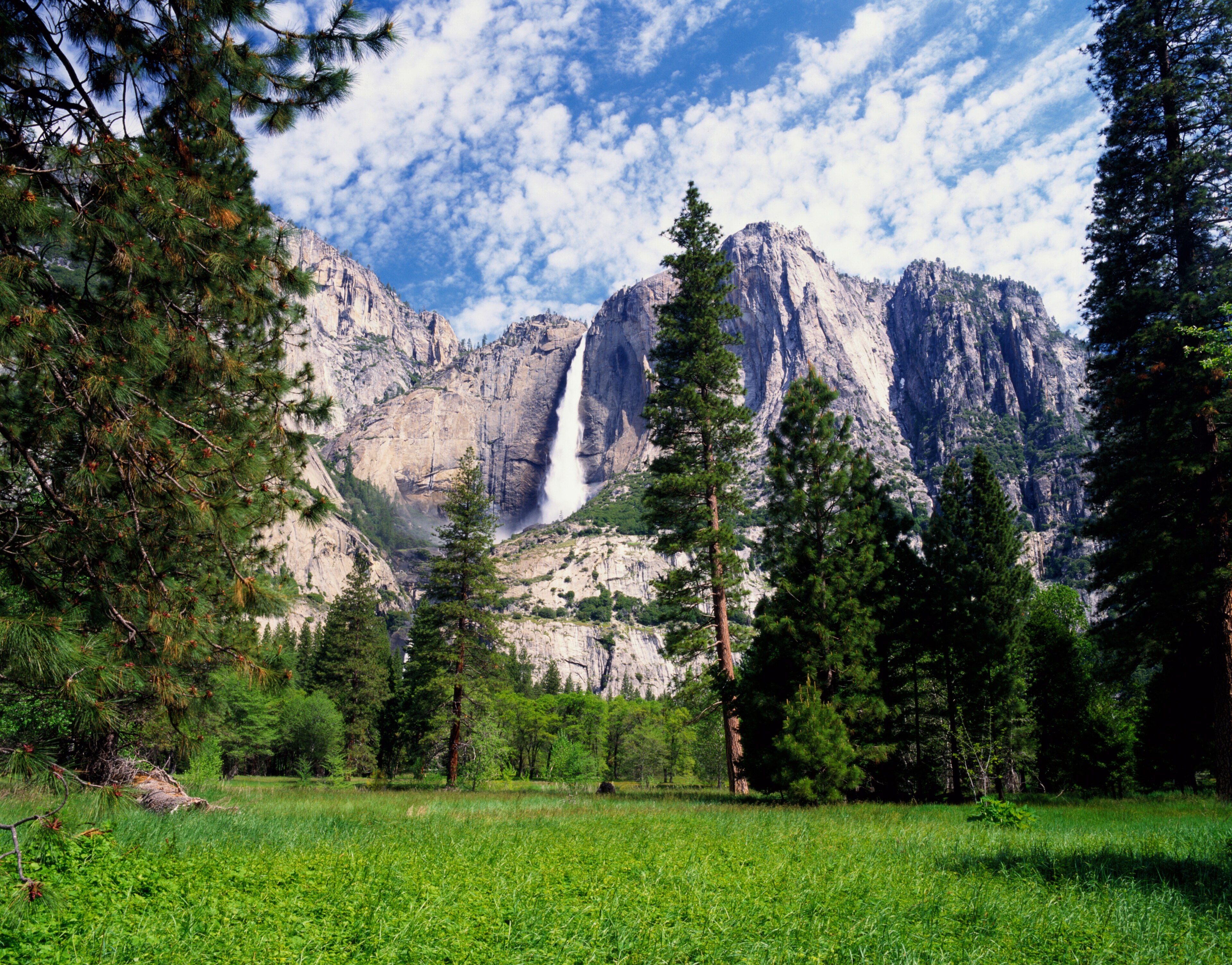Yosemite National Park, California, United States of America