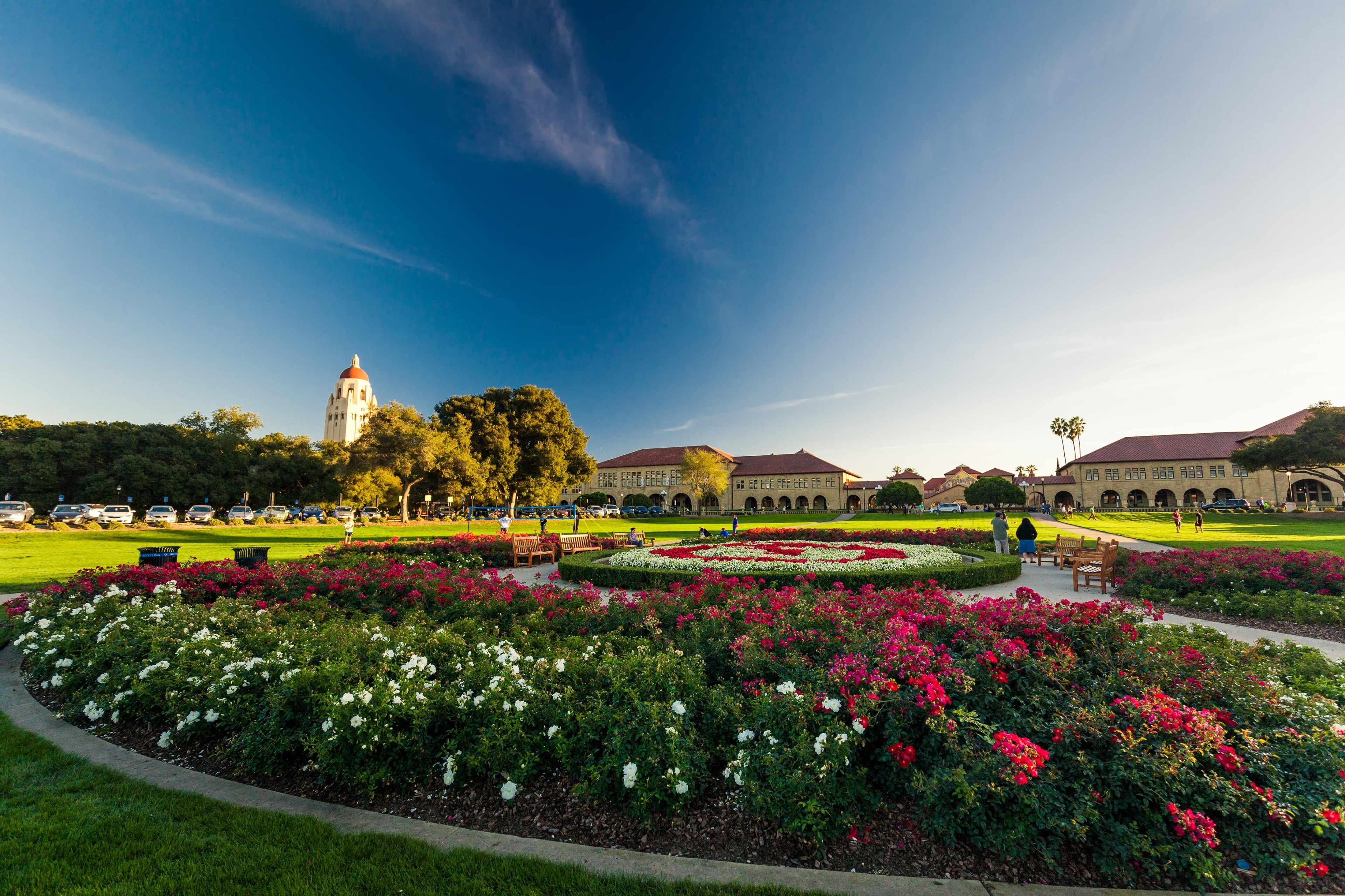 In Bloom: Stanford Shopping Center's Garden Walk