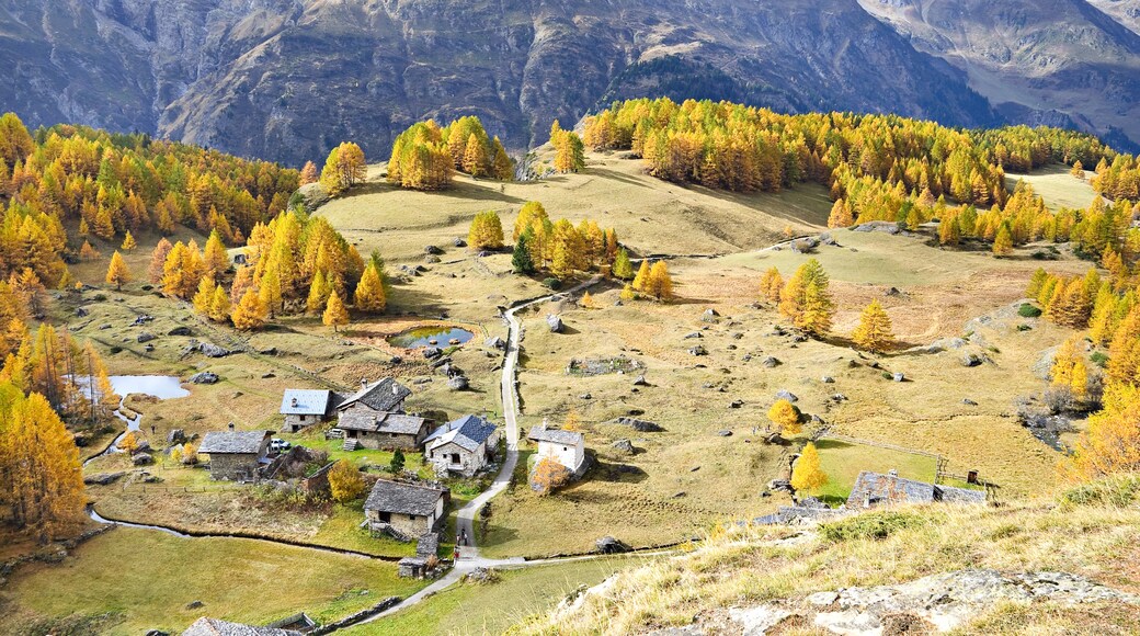 Estación de esquí Peisey-Vallandry